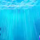 Fishin Frenzy